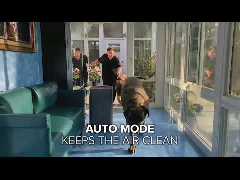 NuWave OxyPure Smart Air Purifier – Turbo Mode & Auto Mode