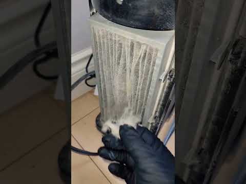 Proof Air Purifier WORKS 🌬 #watchthis 👀