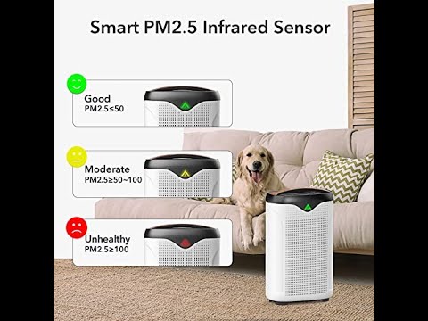 Smart Air Purifier for Home Large Room, WiFi APP Alexa Control Air Cleaner & Air Quality Monitor, Up