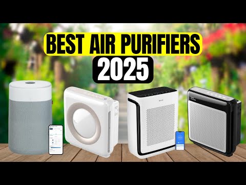The 5 Best Air Purifiers to Buy in 2025