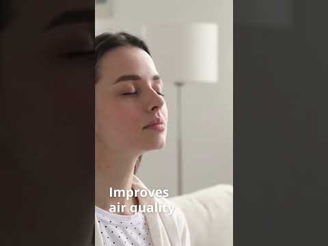 The benefits of using an air purifier in reducing the risk of allergies and asthma | Clevast