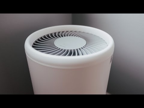 The BEST smart air purifier?