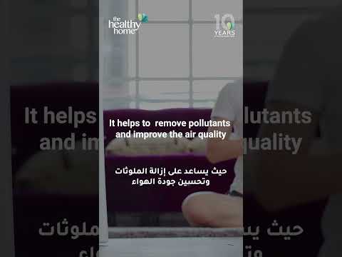 The best solution to prevent allergies and asthma triggers – Air Purifiers!
