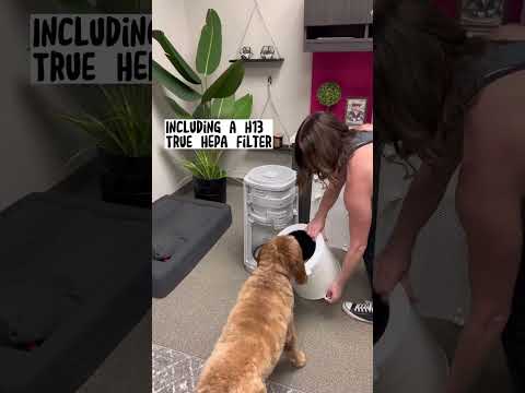 Theo Shares the Benefits of the CUCKOO Air Purifier