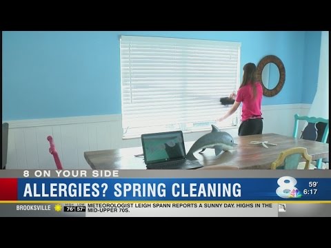 These cleaning tips could help reduce Spring allergies