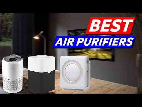 Top 3 Air Purifiers Picks in 2025