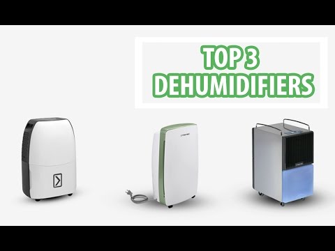 Top 3 Dehumidifiers to reduce mold and fungus – VackerGlobal