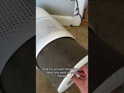 Use this to keep air clean if you have indoor pets! #levoit #airpurifier  #cat