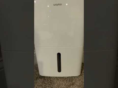 Waykar 2000 Sq. Ft Dehumidifier Review: The Silent Game-Changer for Your Home?