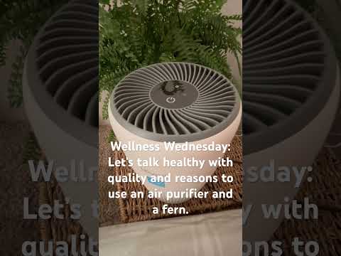 Wellness Wednesday! Why to use an Air Purifier!