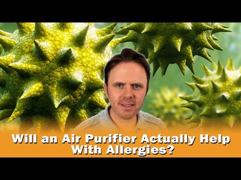 Will an Air Purifier Actually Help With Allergies?