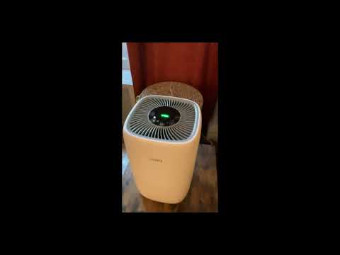 YIOU Smart Air Purifiers with Auto Mode Review & Test | True HEPA Filter Air Purifiers for Home