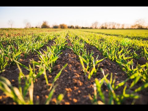 A SMART ECONOMICAL IRRIGATION & AIR POLLUTION CONTROL SYSTEM FOR RURAL AND INDUSTRIAL AREA