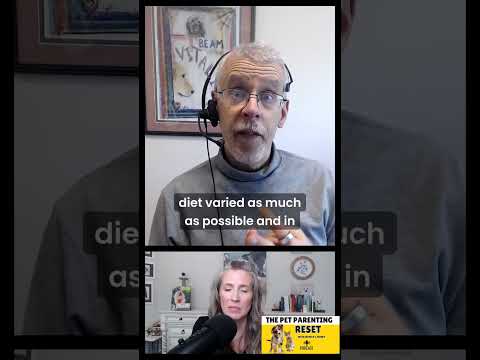 A Spiritual Approach To Pet Wellness with Dr. Jeff Feinman