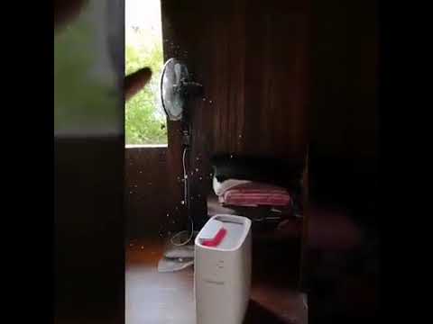 Air Purifier C Model Test #cuckoo