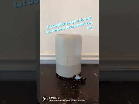Air Quality Blues – DoTerra Breathe oil to the rescue! #airquality #clean #wellness #natural