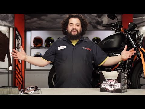 Arlen Ness Big Sucker Air Cleaner for Harley Review at RevZilla.com