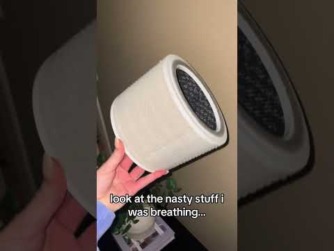 Breathing Easy After 10 Years #airpurifier #allergyrelief #wellnessproducts