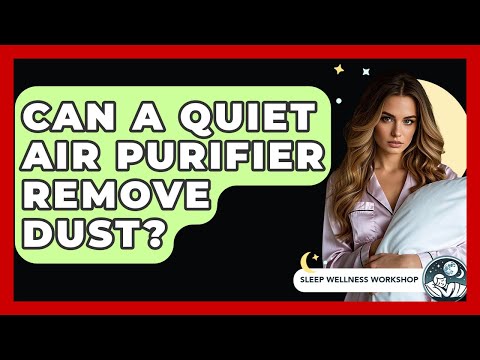 Can A Quiet Air Purifier Remove Dust? – Sleep Wellness Workshop