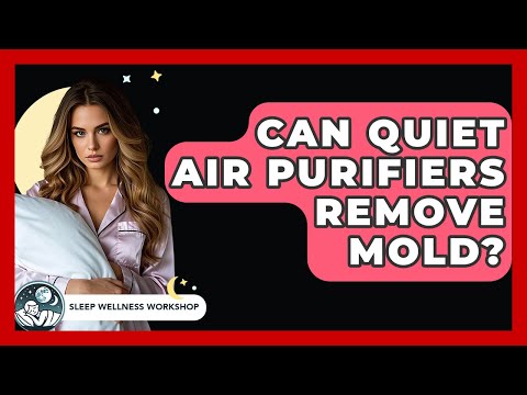 Can Quiet Air Purifiers Remove Mold? – Sleep Wellness Workshop