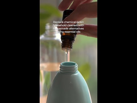 Earth day wellness