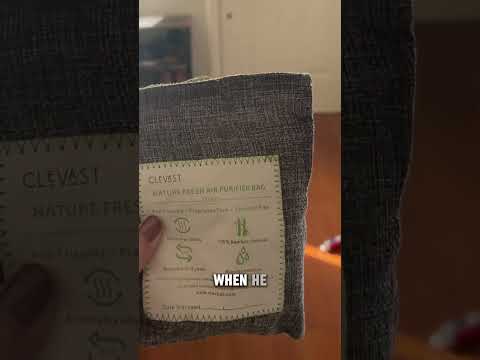 Eco-Friendly Freshness: Explore Clevast Bamboo Charcoal Air Purifiers | Home Wellness