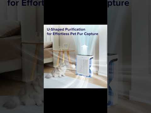 LEVOIT Smart Air Purifier for Large Rooms | WiFi Control, HEPA, Pet-Friendly & Allergy Relief!