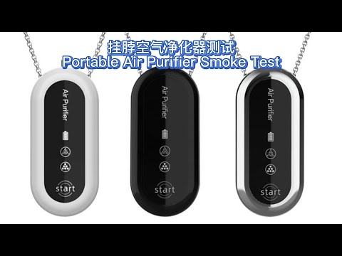 Portable Air Purifier Smoke Test