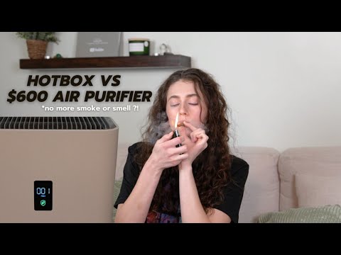 PUTTING MY AIR PURIFIER TO THE ULTIMATE TEST!!