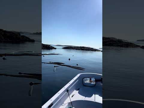 Rowing Is Good For Your Health And Wellness – Body, Mind, And Soul