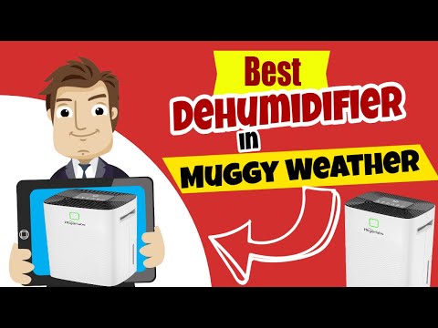 Smart Air Quality Control | Best Dehumidifier 2024 in Muggy Weather 🌬️
