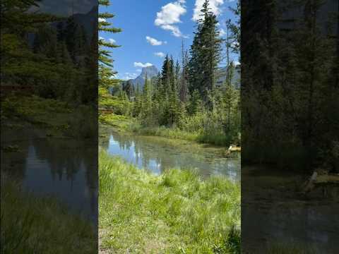 What Our World Could Be | Clean Earth Collective. #wellness #nature
